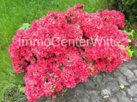 Blumige Grüße