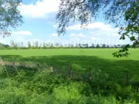 Umgeben von ganz viel Natur