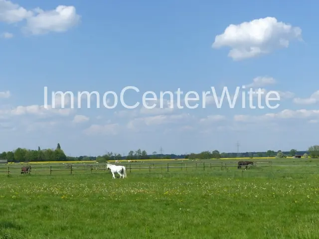 Natur - Wiese - Genießen