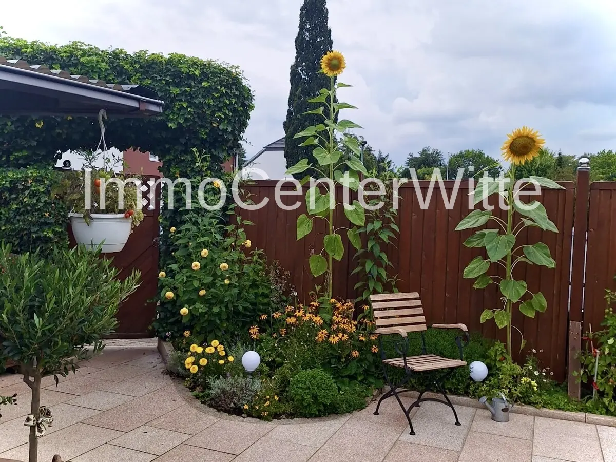 Garten im Sommer