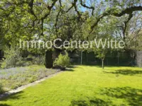 Im Garten
