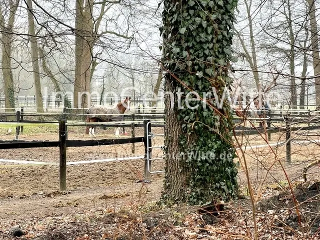 In der Nähe ein Pferdehof