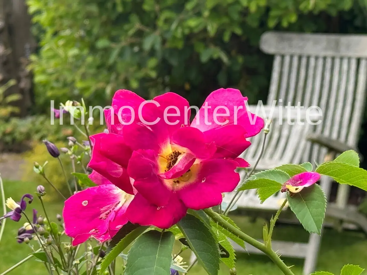 Entspannen im Garten
